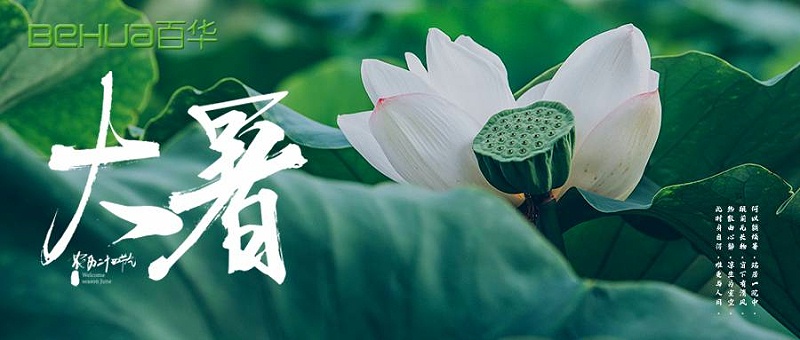 大暑|蟬聲嘹亮，夏意正濃